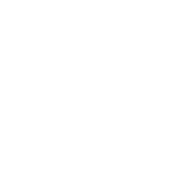 ferron_logo