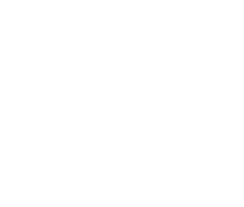 logo_terreSettePonti