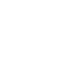 moscardini_logo